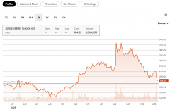 头的扩张打算反面临难以承受的能源压力
